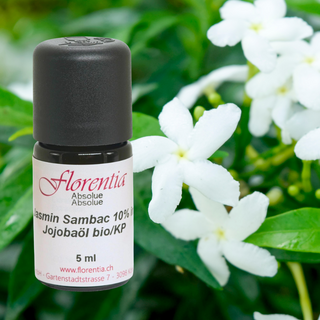 Jasmin Sambac 10% in Jojobaöl bio/KP 5 ml - Wohlfühlprodukte