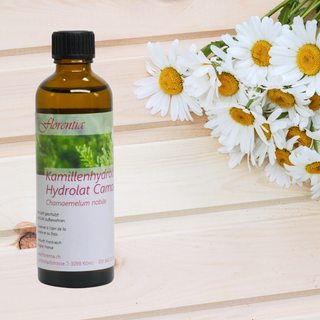 Kamillenhydrolat (römisch) Bio 75 ml - Wohlfühlprodukte