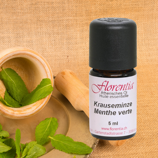 Krauseminze 5 ml - Wohlfühlprodukte