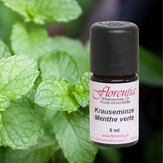 Krauseminze 5 ml - Wohlfühlprodukte