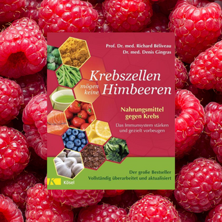Krebszellen mögen keine Himbeeren - Wohlfühlprodukte