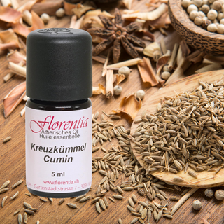 Kreuzkümmel 5 ml (Cuminum cyminum) - Wohlfühlprodukte
