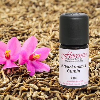 Kreuzkümmel 5 ml (Cuminum cyminum) - Wohlfühlprodukte