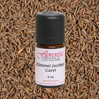 Kümmel (echter) 5 ml - Wohlfühlprodukte