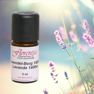 Lavendel-Berg 1400m Bio 5 ml - Wohlfühlprodukte