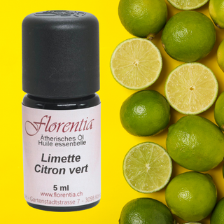 Limette 5 ml - Wohlfühlprodukte