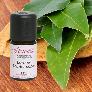 Lorbeer Bio 5 ml (Frankreich) - Wohlfühlprodukte