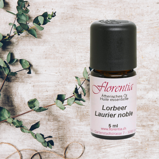 Lorbeer Bio 5 ml (Frankreich) - Wohlfühlprodukte