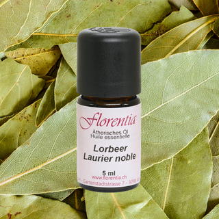Lorbeer Bio 5 ml (Frankreich) - Wohlfühlprodukte