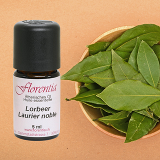 Lorbeer Bio 5 ml (Türkei) - Wohlfühlprodukte
