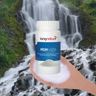 MSM Vida - Wohlfühlprodukte