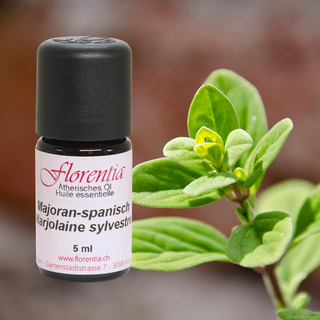 Majoran-spanisch Bio 5 ml - Wohlfühlprodukte