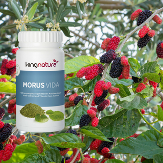 Morus Vida - Wohlfühlprodukte