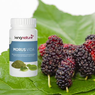 Morus Vida - Wohlfühlprodukte