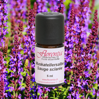 Muskatellersalbei Bio 5 ml - Wohlfühlprodukte