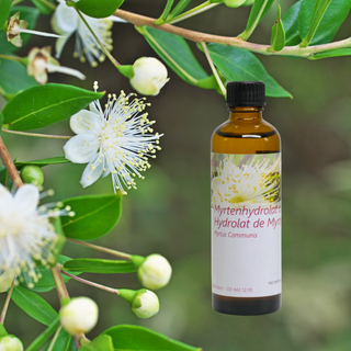 Myrtenhydrolat Bio 75 ml - Wohlfühlprodukte
