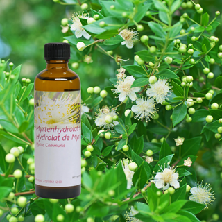 Myrtenhydrolat Bio 75 ml - Wohlfühlprodukte