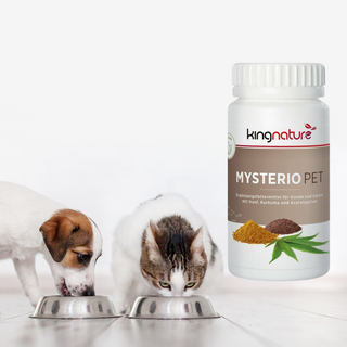 Mysterio PET - Wohlfühlprodukte