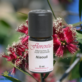 Niaouli wild 5 ml - Wohlfühlprodukte