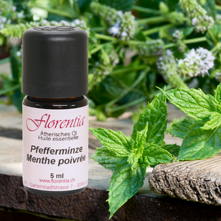 Pfefferminze 5 ml - Wohlfühlprodukte