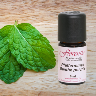 Pfefferminze 5 ml - Wohlfühlprodukte