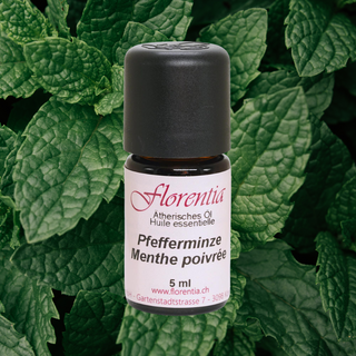 Pfefferminze 5 ml - Wohlfühlprodukte