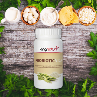 Probiotic Vida - Wohlfühlprodukte