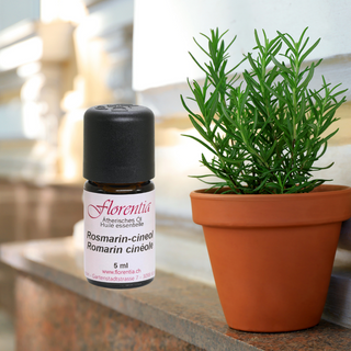 Rosmarin-cineol Bio 5 ml - Wohlfühlprodukte
