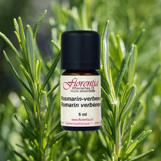 Rosmarin-verbenon Bio 5 ml - Wohlfühlprodukte