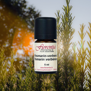 Rosmarin-verbenon Bio 5 ml - Wohlfühlprodukte