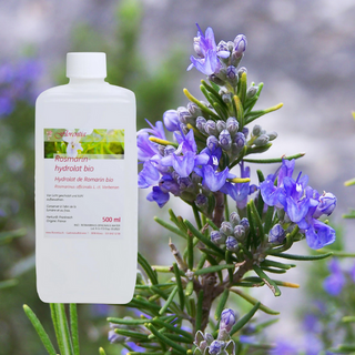 Rosmarinhydrolat (verbenon) Bio - Wohlfühlprodukte