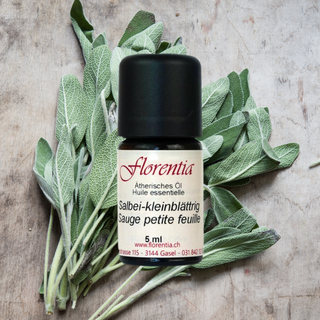 Salbei-kleinblättrig Bio 5 ml - Wohlfühlprodukte