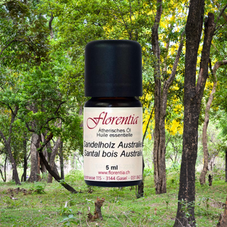 Sandelholz Australien 5 ml - Wohlfühlprodukte