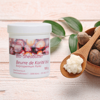 Sheabutter Bio 100 g - Wohlfühlprodukte