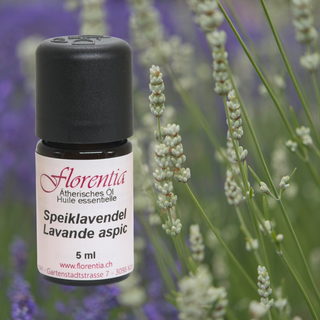 Speiklavendel Bio 5 ml - Wohlfühlprodukte