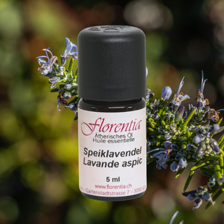 Speiklavendel Bio 5 ml - Wohlfühlprodukte