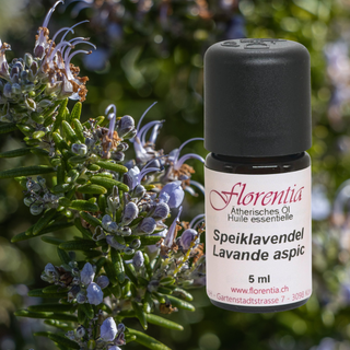 Speiklavendel Bio 5 ml - Wohlfühlprodukte