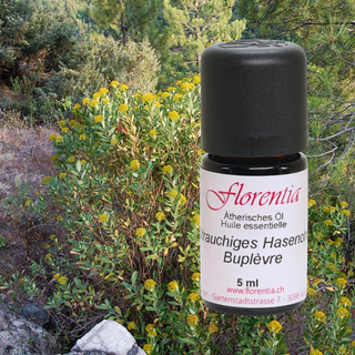 Strauchiges Hasenohr Wild 5 ml - Wohlfühlprodukte