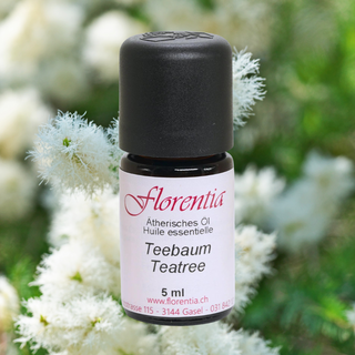 Teebaum 5 ml - Wohlfühlprodukte