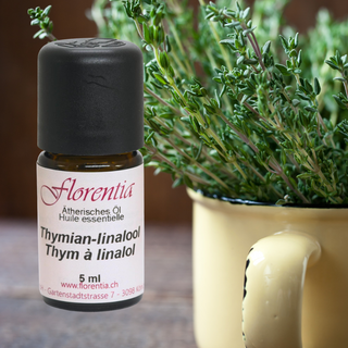Thymian-linalool Bio 5 ml - Wohlfühlprodukte