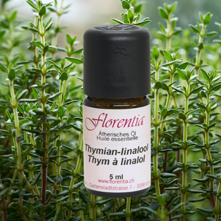Thymian-linalool Bio 5 ml - Wohlfühlprodukte