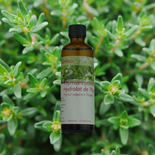 Thymianhydrolat (thujanol) Bio 75 ml - Wohlfühlprodukte