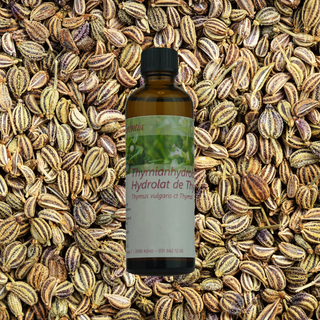 Thymianhydrolat (thymol) Bio 75 ml - Wohlfühlprodukte