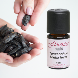 Tonkabohne Bio 5 ml - Wohlfühlprodukte