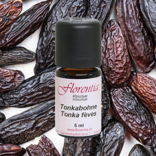 Tonkabohne Bio 5 ml - Wohlfühlprodukte