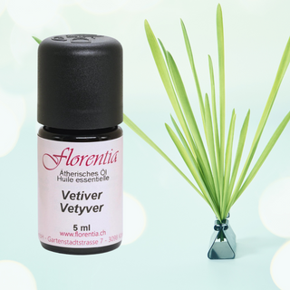 Vetiver wild 5 ml - Wohlfühlprodukte