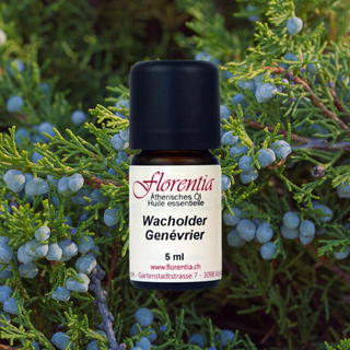 Wacholder 5 ml - Wohlfühlprodukte