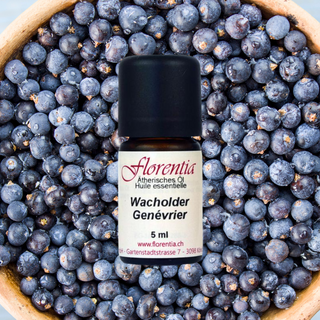 Wacholder 5 ml - Wohlfühlprodukte