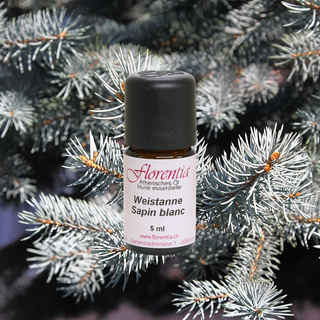Weisstanne Bio 5ml - Wohlfühlprodukte