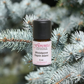 Weisstanne Bio 5ml - Wohlfühlprodukte